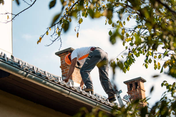 Best Roof Gutter Cleaning  in Laurel, MT